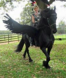 a woman riding on the back of a black horse in a fenced area next to a tree