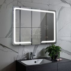 a bathroom with a sink, mirror and plant