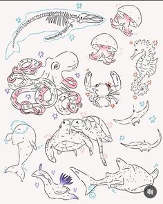 an image of sea animals and their skeletons