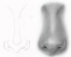 a drawing of a nose and an animal's nose