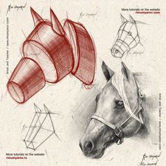 a drawing of a horse's head with different angles