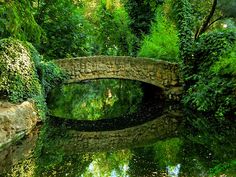 a stone bridge over a river surrounded by greenery