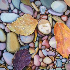 a painting of rocks and leaves with water droplets on them