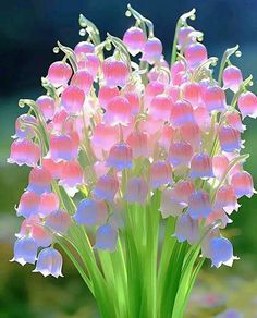 pink and white flowers in a green vase on the ground with blurry grass behind them