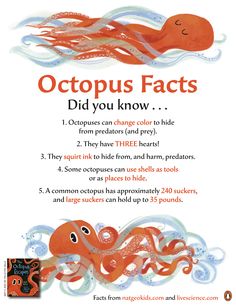 an octopus fact is shown in this poster