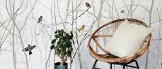 a chair sitting next to a potted plant and wallpaper with birds on it