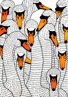 an image of a flock of birds with orange beaks on their heads and necks