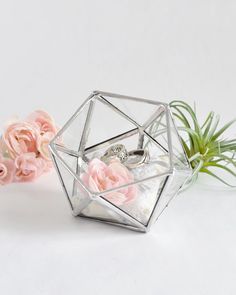 two wedding rings in a glass box with pink flowers and air plant on the side