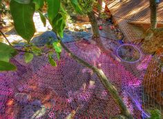 Check out this huge, multiperson net hammock created by hand and all UV oriented for night time enjoyment! Sonic Bloom, Adventure Park, Enjoy Nature, Dream House Decor, Tree House, Yard, Exterior, In This Moment