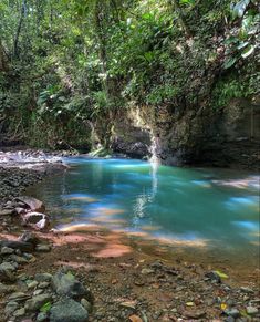 a river in the middle of a forest filled with rocks and water surrounded by trees