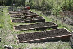 several rows of raised garden beds with dirt in the middle and trees in the background