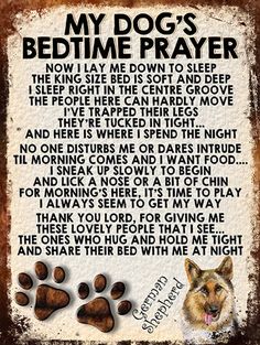 a dog's bedtime prayer with paw prints