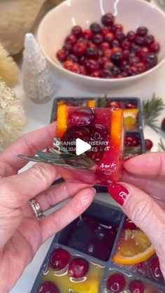 Lindsay Cola (Tippens) on Instagram: "EASY•ELEGANT•FESTIVE•FUN 🎄🍊These Orange Cranberry Holiday Cubes are always a favorite! Prep them ahead of time and simply store in the freezer until your guests arrive! Little effort & a whole lotta fun! You’ll need fresh cranberries, orange slices, orange juice, cranberry or pomegranate juice, and fresh rosemary! Hope you enjoy!!!"