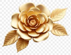 a golden flower on a white background with no background, hd png downloading