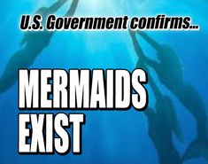 the words u s government confirms mermaids exit in front of an image of dolphins