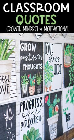 classroom quotes on a bulletin board with cactuses and succulents