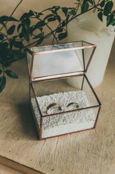 two wedding rings in a glass box on a wooden table next to a potted plant