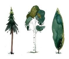 three different types of trees painted in watercolor