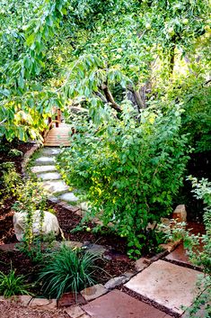 a garden with steps leading up to some trees and plants in the area that is surrounded by foliage