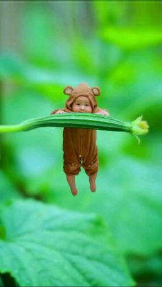 a tiny monkey is hanging upside down on a green plant with leaves in the background