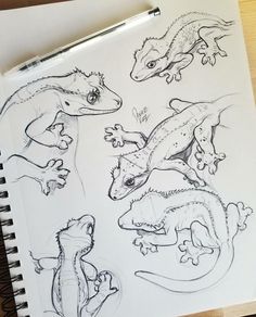 some drawings of lizards and other animals on a sheet of paper with a pen next to it