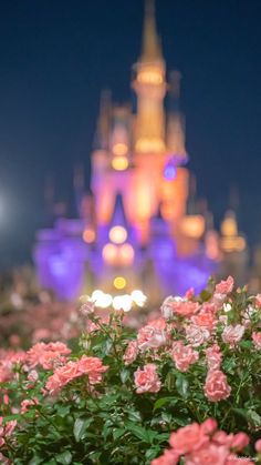 pink flowers in front of a castle lit up at night with lights on the background