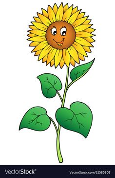 a sunflower with a happy face on it's flower head and green leaves