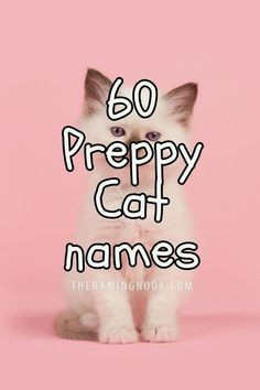 a white cat with the words, 60 preppy cat names