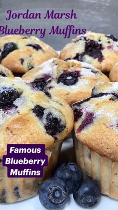 blueberry muffins with powdered sugar and fresh blueberries on the side