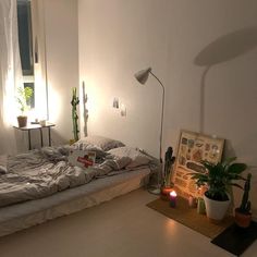 a bedroom with a bed, plants and pictures on the floor in front of it