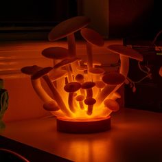 a group of mushrooms sitting on top of a table next to a light that is turned on