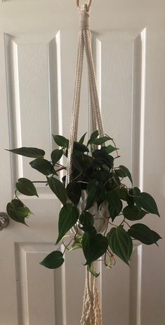 a potted plant hanging from a rope in front of a door