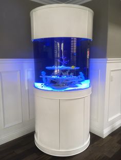 a large white fish tank sitting on top of a wooden floor next to a wall