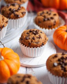 pumpkins and chocolate chip muffins on a white plate next to some mini pumpkins