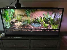 a fish tank is sitting on top of a dresser