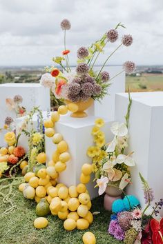 an arrangement of flowers and fruit on display in front of white cubes with yellow vases