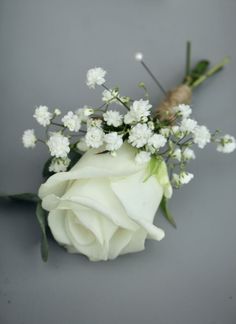 a white rose and baby's breath on a gray background with some green leaves