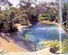 a pool surrounded by trees and water