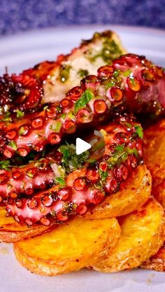 an octopus sandwich on top of potato wedges