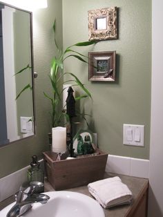 a bathroom with a sink, mirror and plants in the basket on the counter top