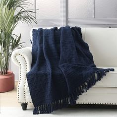 a white couch with a blue blanket on top of it next to a potted plant