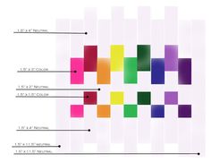 an image of a color scheme with the names and colors in each section on it