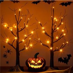 two pumpkins sitting in front of some trees with lights on them and bats hanging from the branches