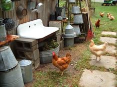 chickens and roosters in a backyard area next to a sink, stove, and water tank