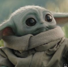 the baby yoda is wearing a scarf