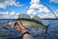 a person holding a fish while fishing on the water