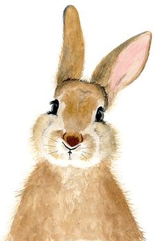 a watercolor painting of a rabbit's face