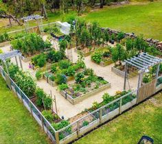 an aerial view of a vegetable garden in the middle of a field with lots of plants