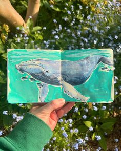 a hand holding an open book with a drawing of a humpback whale on it