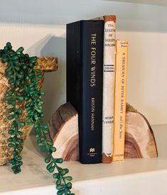 some books are sitting on a shelf next to a potted plant and two other books